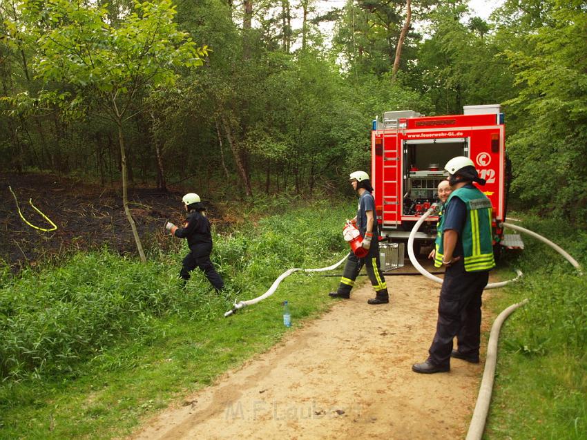 Waldbrand Bergisch Gladbach Bensberg P092.JPG